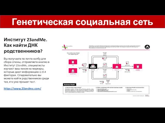 Институт 23andMe. Как найти ДНК родственников? Вы получаете по почте колбу