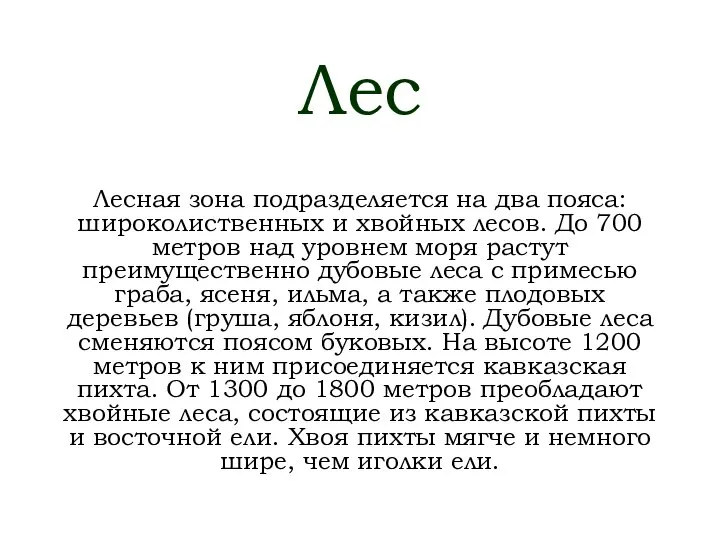 Лес Лесная зона подразделяется на два пояса: широколиственных и хвойных лесов.