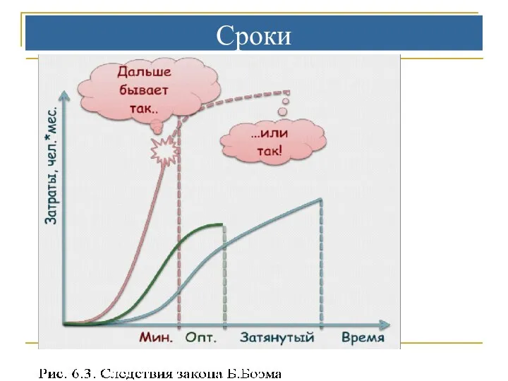 Сроки