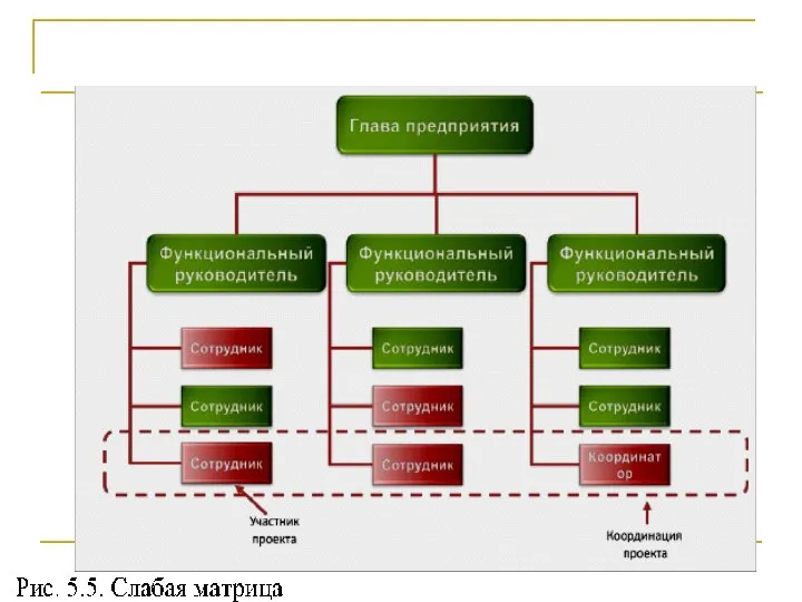 Проект и оргструктура компании