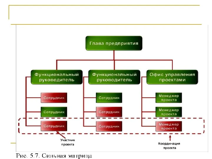 Проект и оргструктура компании