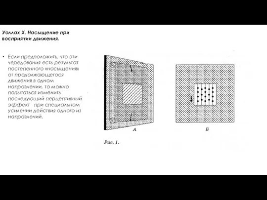 Уоллах Х. Насыщение при восприятии движения. Если предположить, что эти чередования