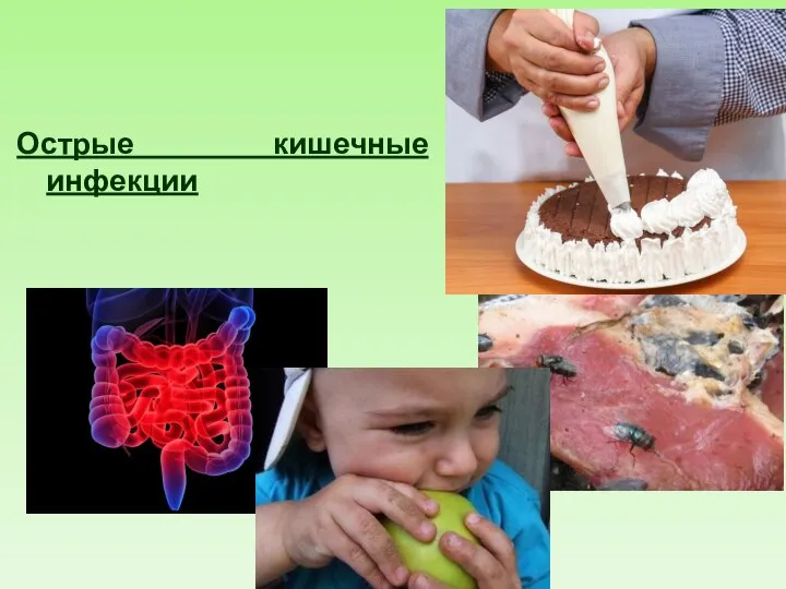 Острые кишечные инфекции