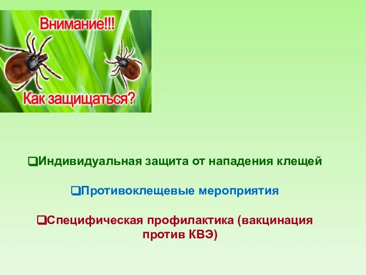 Индивидуальная защита от нападения клещей Противоклещевые мероприятия Специфическая профилактика (вакцинация против КВЭ)