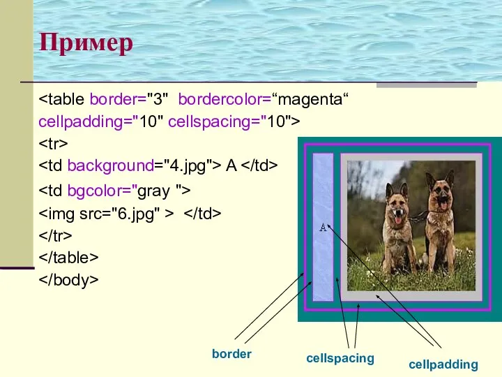 Пример cellpadding="10" cellspacing="10"> A