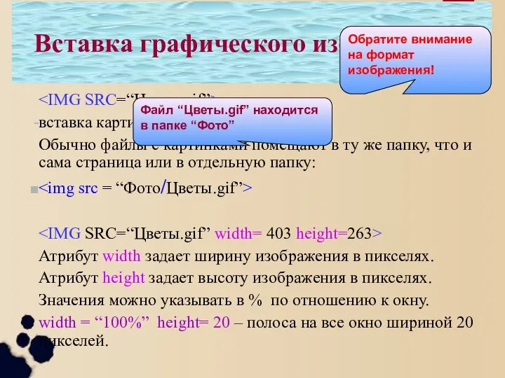 Вставка графического изображения вставка картинки из файла «Цветы.gif». Обычно файлы с