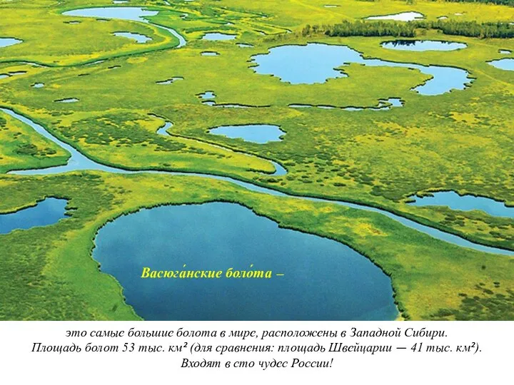 Васюга́нские боло́та — это самые большие болота в мире, расположены в