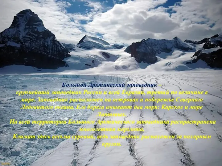 Большой Арктический заповедник – крупнейший заповедник России и всей Евразии, третий