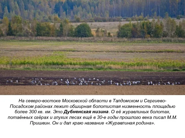 На северо-востоке Московской области в Талдомском и Сергиево-Посадском районах лежит обширная