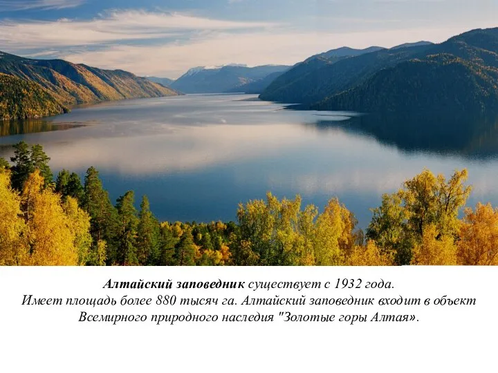 Алтайский заповедник существует с 1932 года. Имеет площадь более 880 тысяч