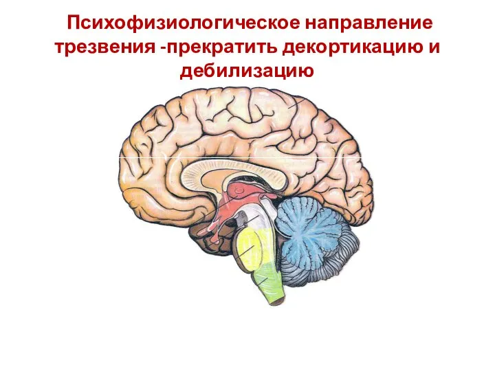 Психофизиологическое направление трезвения -прекратить декортикацию и дебилизацию