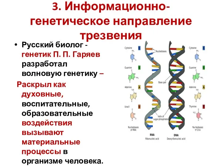 3. Информационно-генетическое направление трезвения Русский биолог - генетик П. П. Гаряев