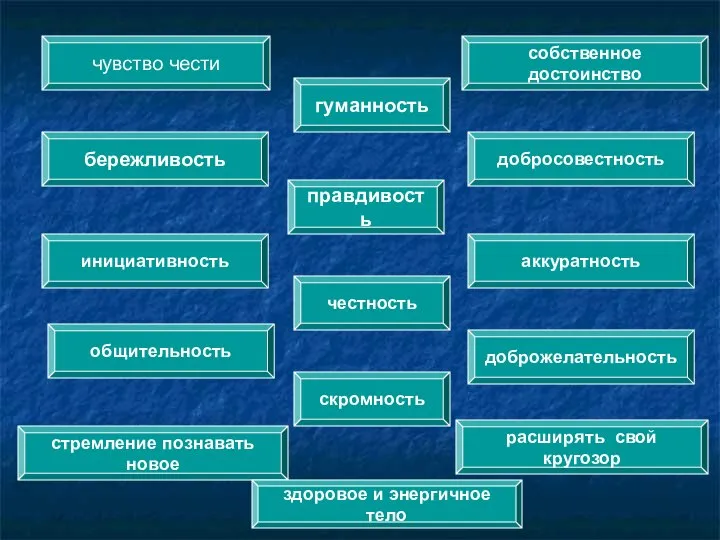 чувство чести собственное достоинство добросовестность аккуратность бережливость инициативность общительность стремление познавать