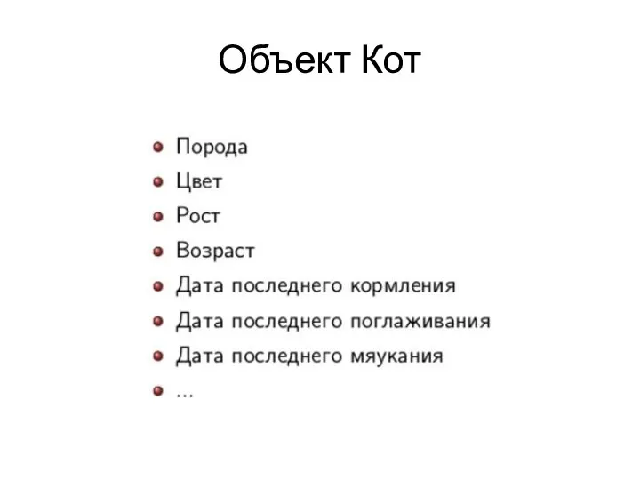 Объект Кот