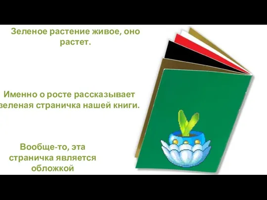 Зеленое растение живое, оно растет. Именно о росте рассказывает зеленая страничка