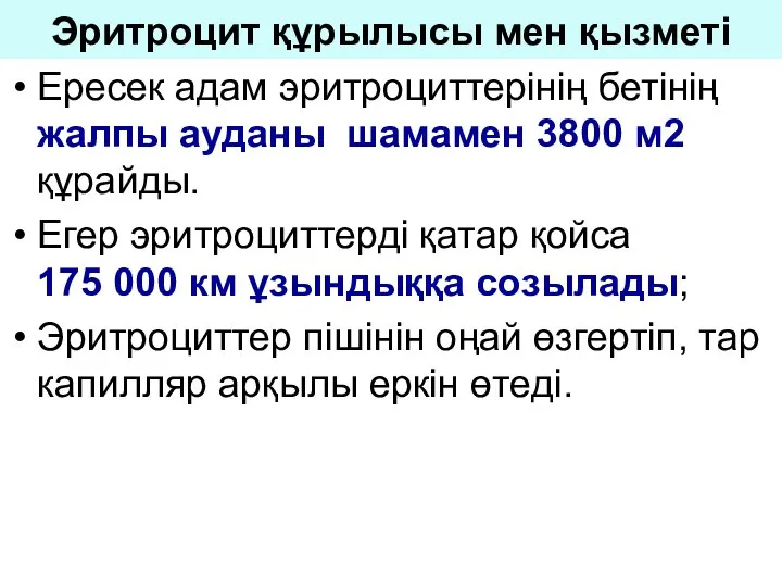 Эритроцит құрылысы мен қызметі Ересек адам эритроциттерінің бетінің жалпы ауданы шамамен