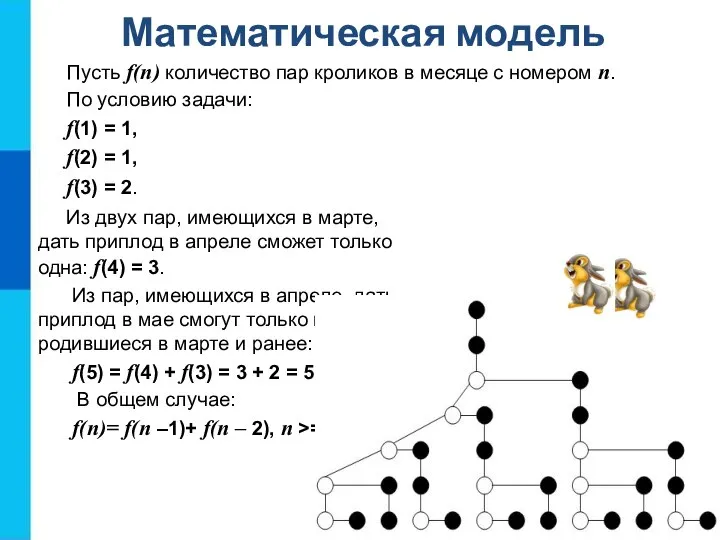 Математическая модель Пусть f(n) количество пар кроликов в месяце с номером