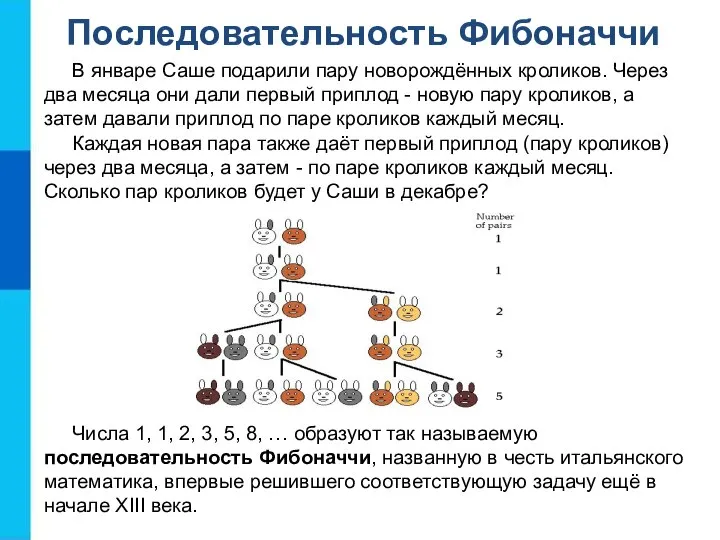 Последовательность Фибоначчи В январе Саше подарили пару новорождённых кроликов. Через два