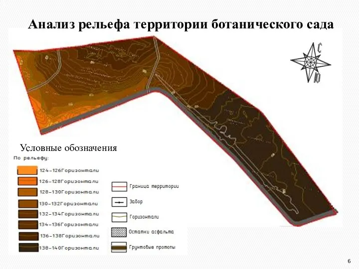 Анализ рельефа территории ботанического сада Условные обозначения