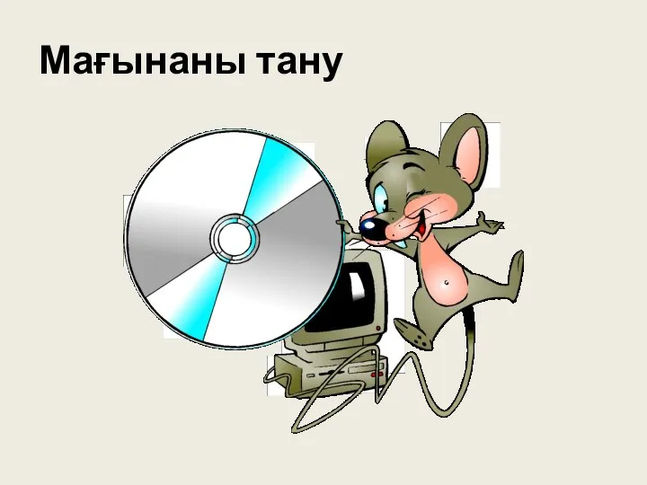 Мағынаны тану