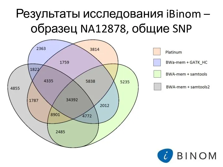 Результаты исследования iBinom – образец NA12878, общие SNP