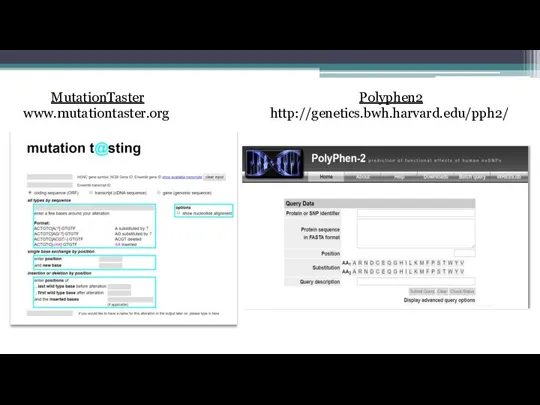 MutationTaster www.mutationtaster.org Polyphen2 http://genetics.bwh.harvard.edu/pph2/