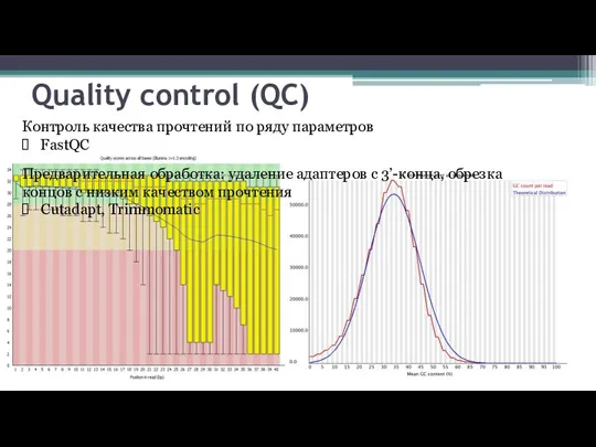 Quality control (QC) Предварительная обработка: удаление адаптеров с 3’-конца, обрезка концов