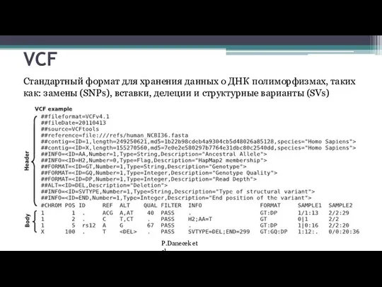 VCF Стандартный формат для хранения данных о ДНК полиморфизмах, таких как: