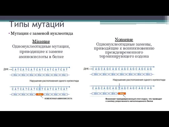 Типы мутаций Nonsense Однонуклеотидные замены, приводящие к возникновению преждевременного терминирующего кодона