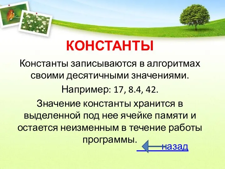 КОНСТАНТЫ Константы записываются в алгоритмах своими десятичными значениями. Например: 17, 8.4,