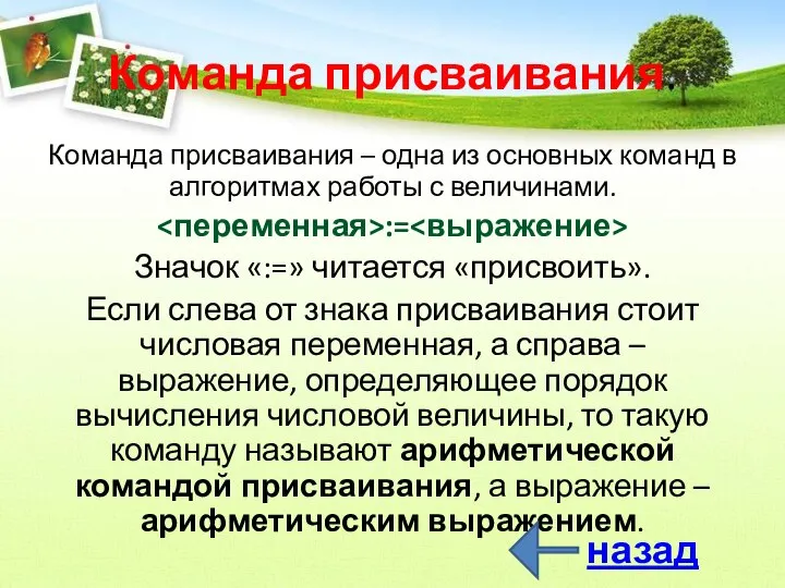 Команда присваивания. Команда присваивания – одна из основных команд в алгоритмах