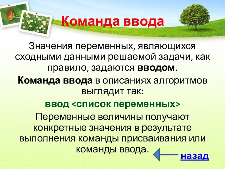 Команда ввода Значения переменных, являющихся сходными данными решаемой задачи, как правило,