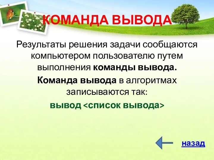 КОМАНДА ВЫВОДА Результаты решения задачи сообщаются компьютером пользователю путем выполнения команды