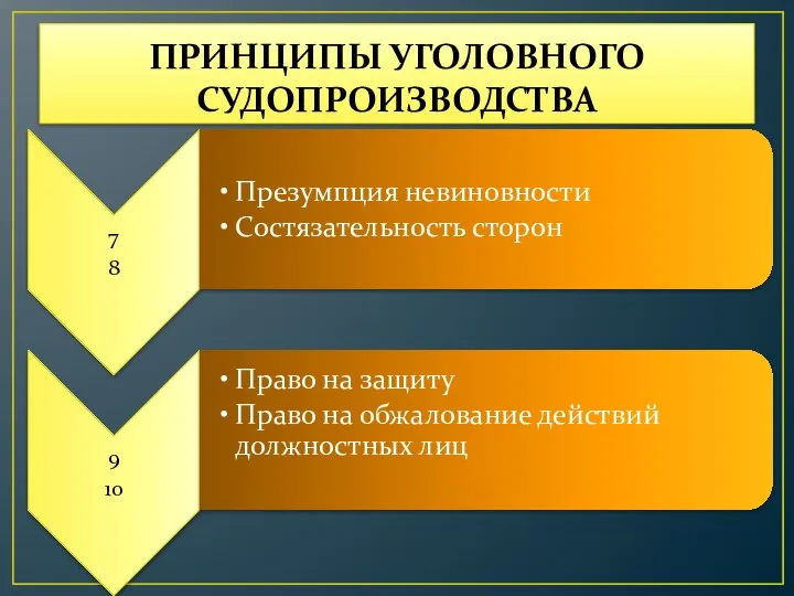 ПРИНЦИПЫ УГОЛОВНОГО СУДОПРОИЗВОДСТВА