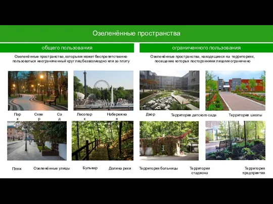 Озеленённые пространства общего пользования ограниченного пользования Парк Сквер Сад Лесопарк Озеленённые