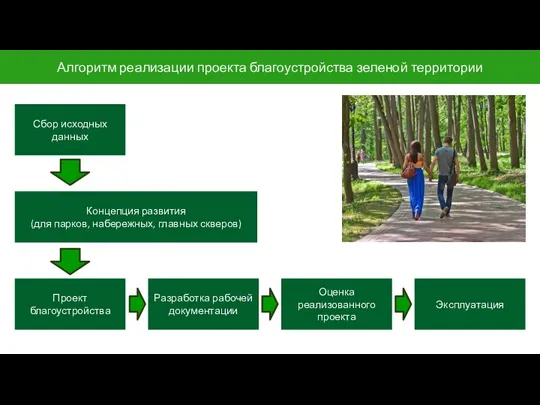 Алгоритм реализации проекта благоустройства зеленой территории Сбор исходных данных Концепция развития