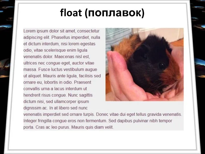 float (поплавок)