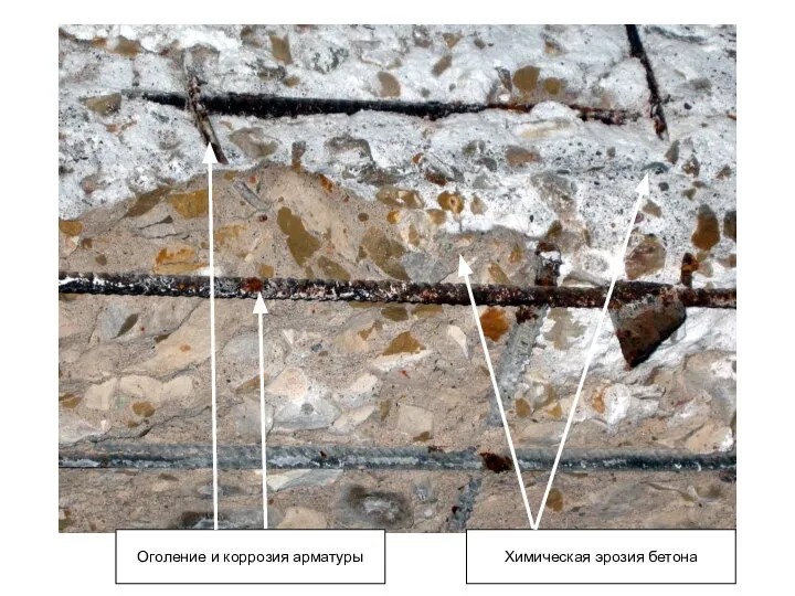 Оголение и коррозия арматуры Химическая эрозия бетона
