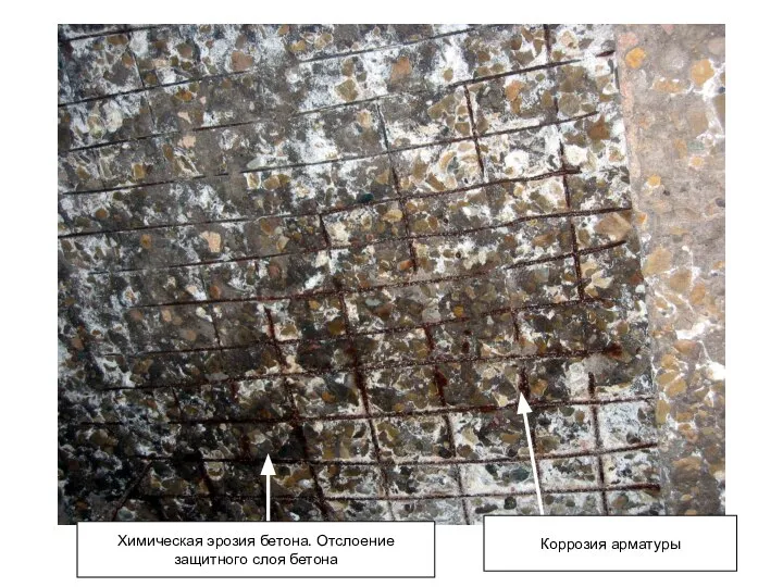 Химическая эрозия бетона. Отслоение защитного слоя бетона Коррозия арматуры