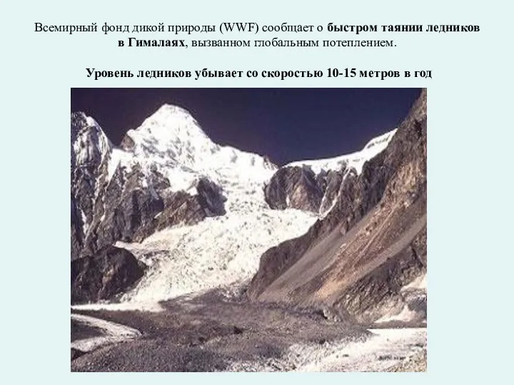 Всемирный фонд дикой природы (WWF) сообщает о быстром таянии ледников в