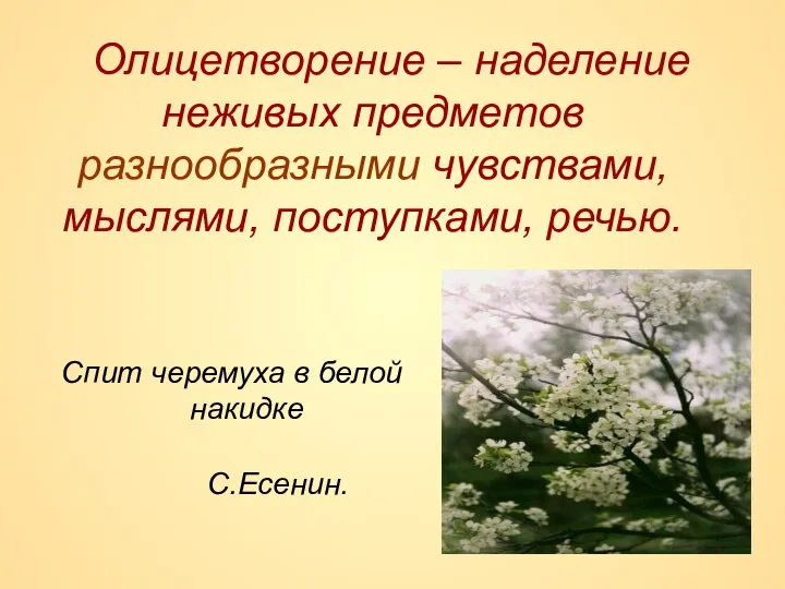 Олицетворение – наделение неживых предметов разнообразными чувствами, мыслями, поступками, речью. Спит черемуха в белой накидке С.Есенин.