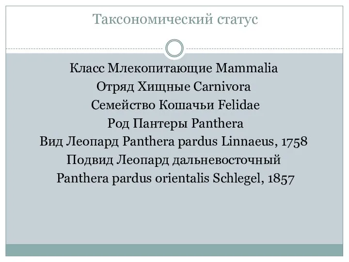 Таксономический статус Класс Млекопитающие Mammalia Отряд Хищные Carnivora Семейство Кошачьи Felidae