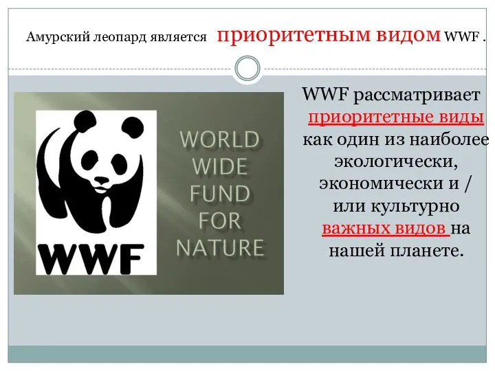 WWF рассматривает приоритетные виды как один из наиболее экологически, экономически и