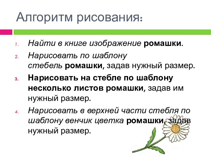 Алгоритм рисования: Найти в книге изображение ромашки. Нарисовать по шаблону стебель