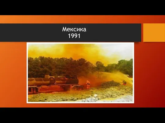 Мексика 1991