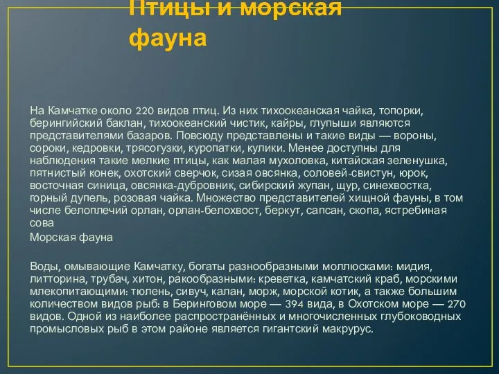 Птицы и морская фауна На Камчатке около 220 видов птиц. Из