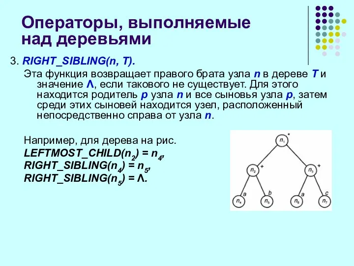 Операторы, выполняемые над деревьями 3. RIGHT_SIBLING(n, Т). Эта функция возвращает правого