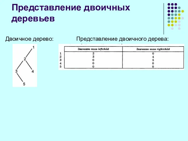 Двоичное дерево: Представление двоичного дерева: Представление двоичных деревьев