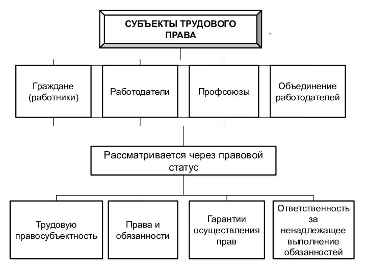 Граждане (работники) Работодатели Профсоюзы Объединение работодателей Рассматривается через правовой статус Трудовую