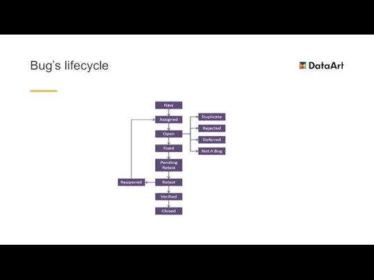 Bug’s lifecycle